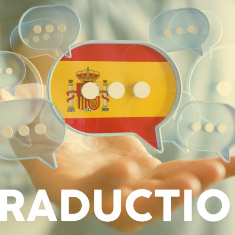 Launch of the Spanish version of the website
